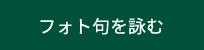 フォト句を詠む