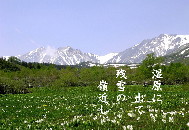 湿原に出て残雪の嶺近し